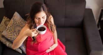 आपको अपनी पहली गर्भावस्था के बारे में क्या जानना चाहिए गर्भवती होने पर क्या नहीं करना चाहिए