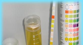 Ketone bodies in urine: what does it mean, definition of increase