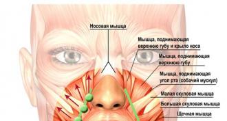 Зарядка для лица: упражнения для носогубных складок